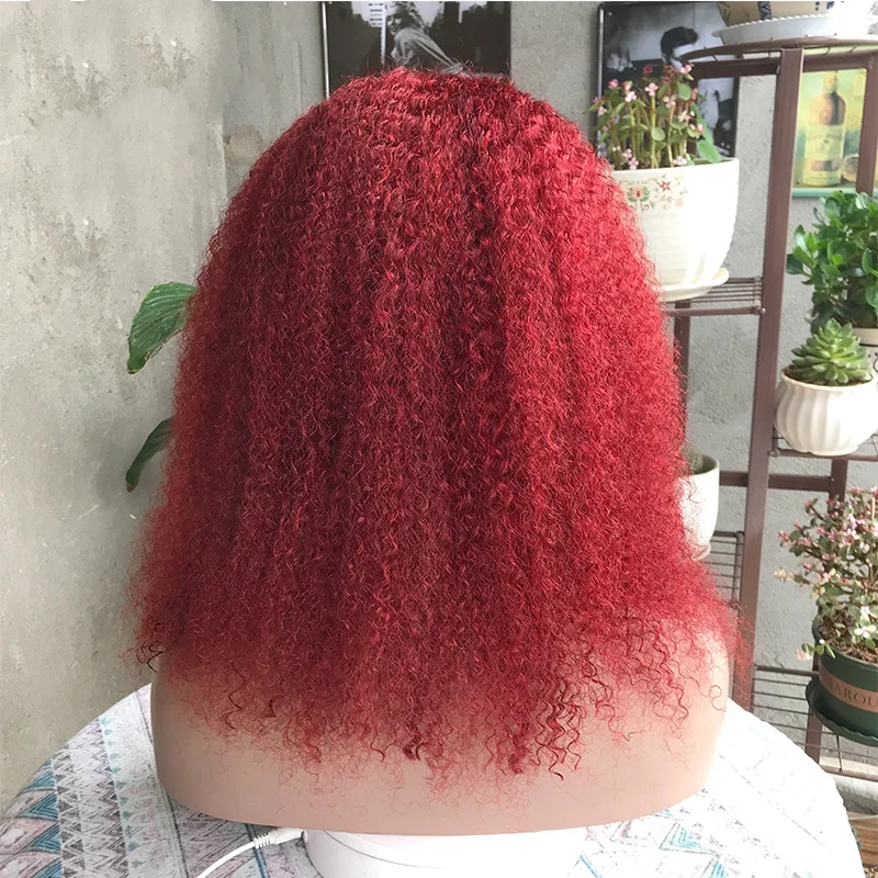 Kinky Curly Wig Human Hair